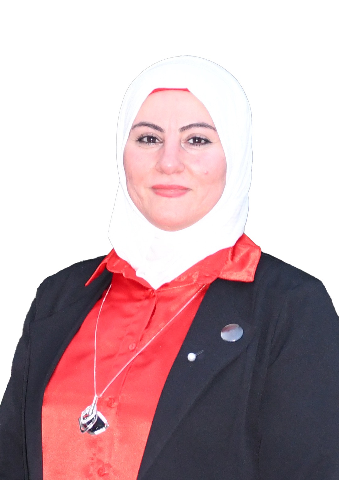 مجلس الكلية